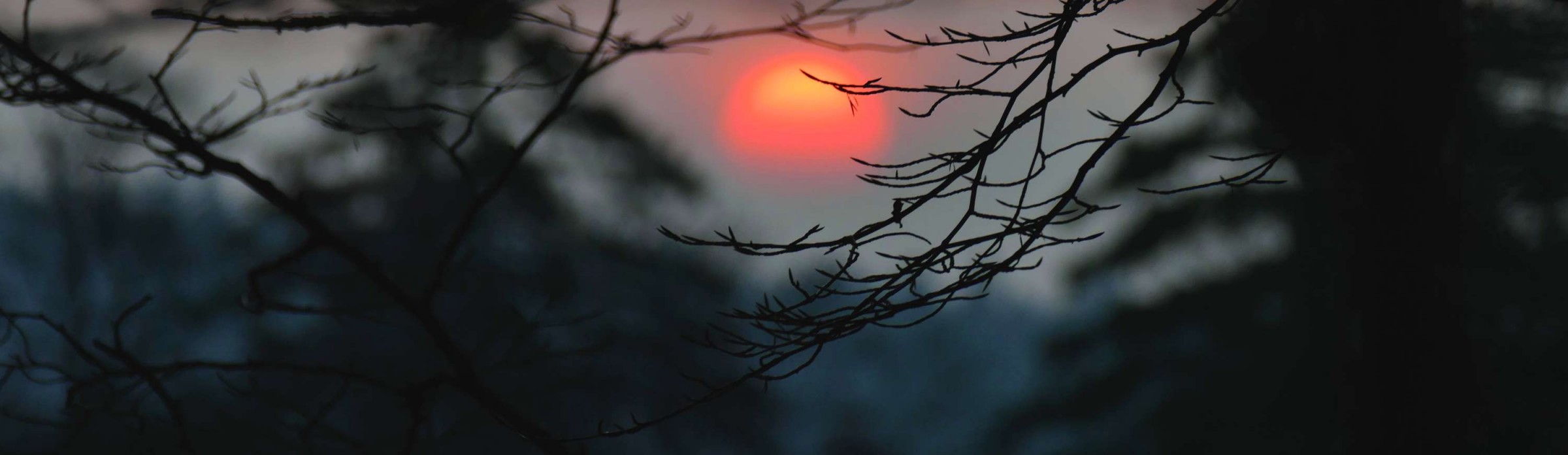 Sonnenuntergang © Ferenc Maradi | allesauseinerhand.click/bodenhaftung-2022 (Lizenz: CC BY-NC-ND 4.0)